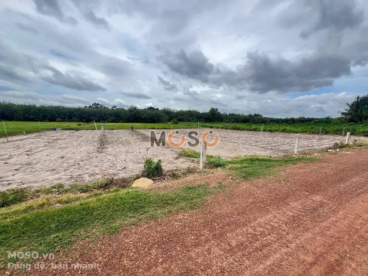 Bán đất đường Suối Dầm 4 Huyện Tân Châu, Tây Ninh – giá 990 triệu - ảnh 1